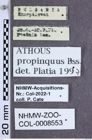 Etiketten zu Athous propinquus (NHMW-ZOO-COL-0008553)